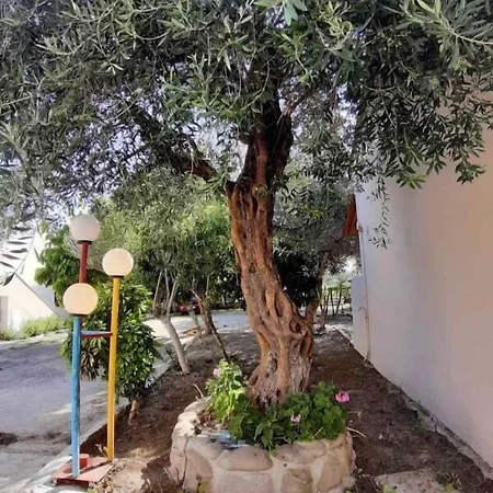 Kalypso 2* カボス