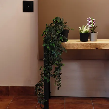 Kalypso Studio Resorts 2*