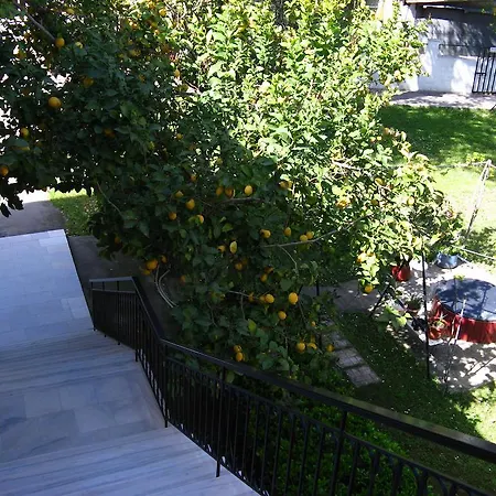 Kalypso Studio Resorts